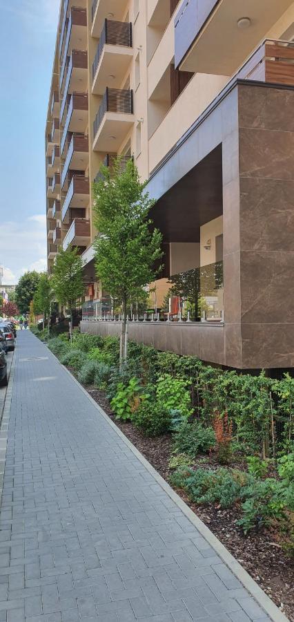 Apartment Alios Lux Braşov Exterior foto